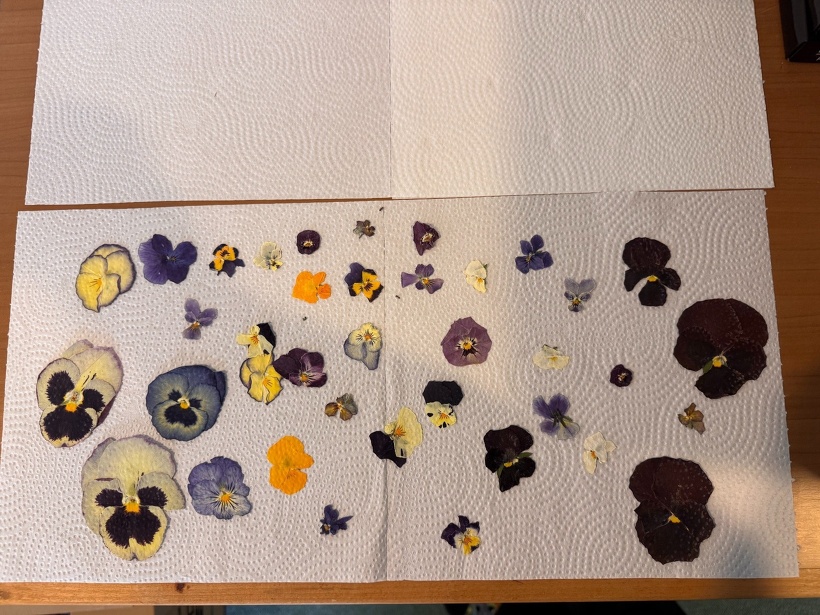 完成した押し花